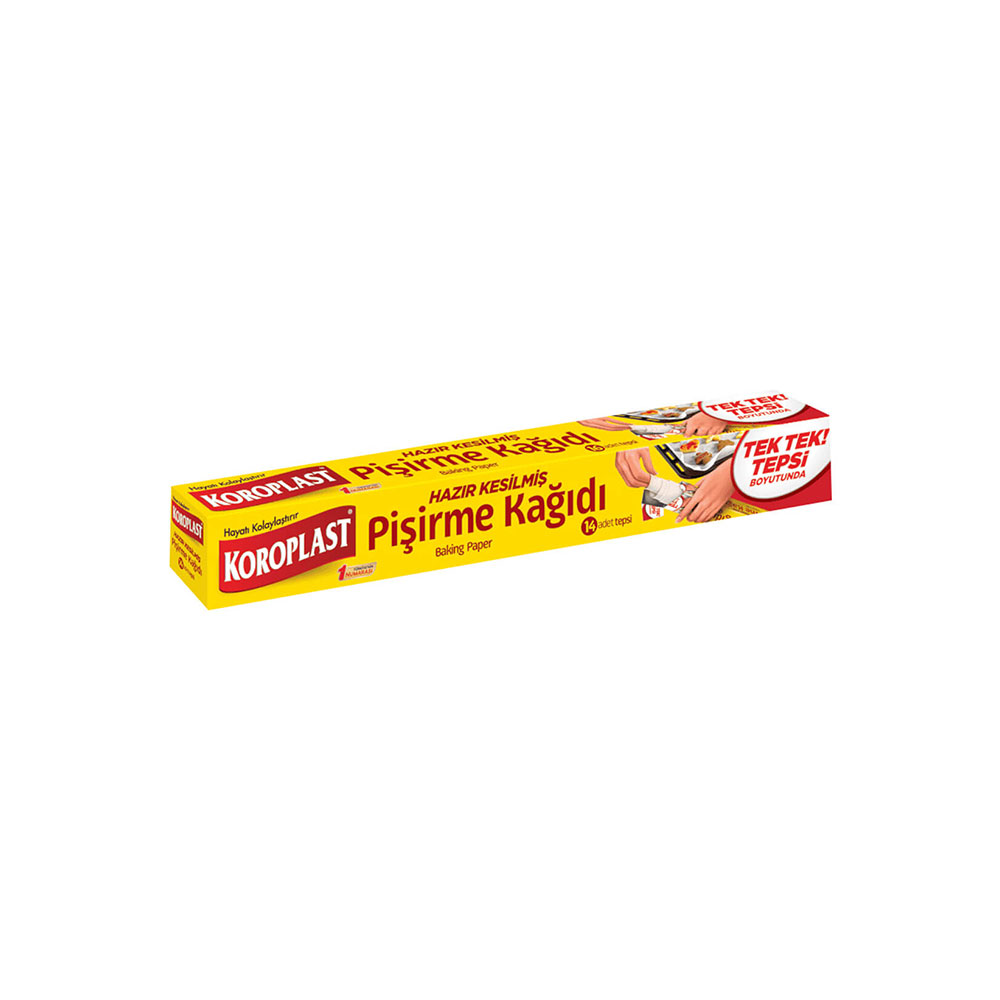 YAĞLI KAĞIT KOROPLAST